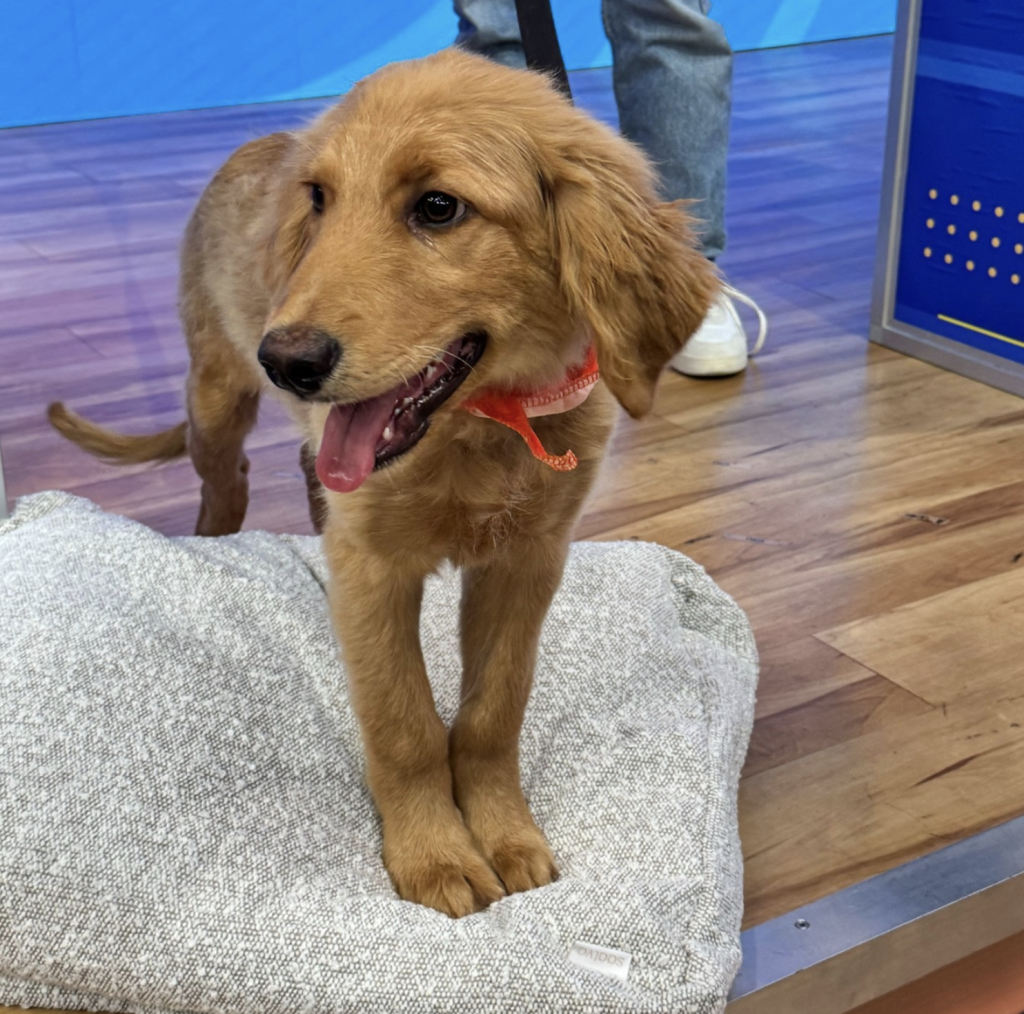 Screenshot 2024 11 22 at 4.08.49 PM